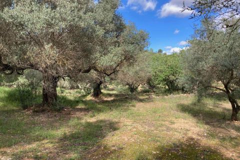 Landejendom i El Perello, Tarragona, El Perello - € 56.000 | Ref: Finca Bitem Joa - foto 16